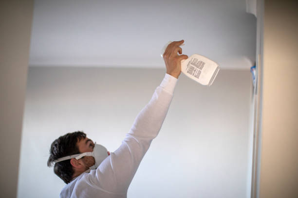 Best Toxic Mold Removal  in Harlingen, TX