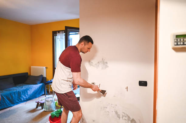 Best Water Damage Restoration  in Harlingen, TX